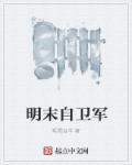 明末卫所军