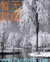 龙凤宝钗缘武功排名前十