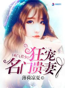 都市之终极奶爸第二部
