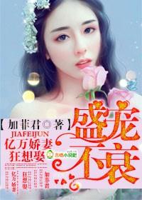 亿万盛宠六